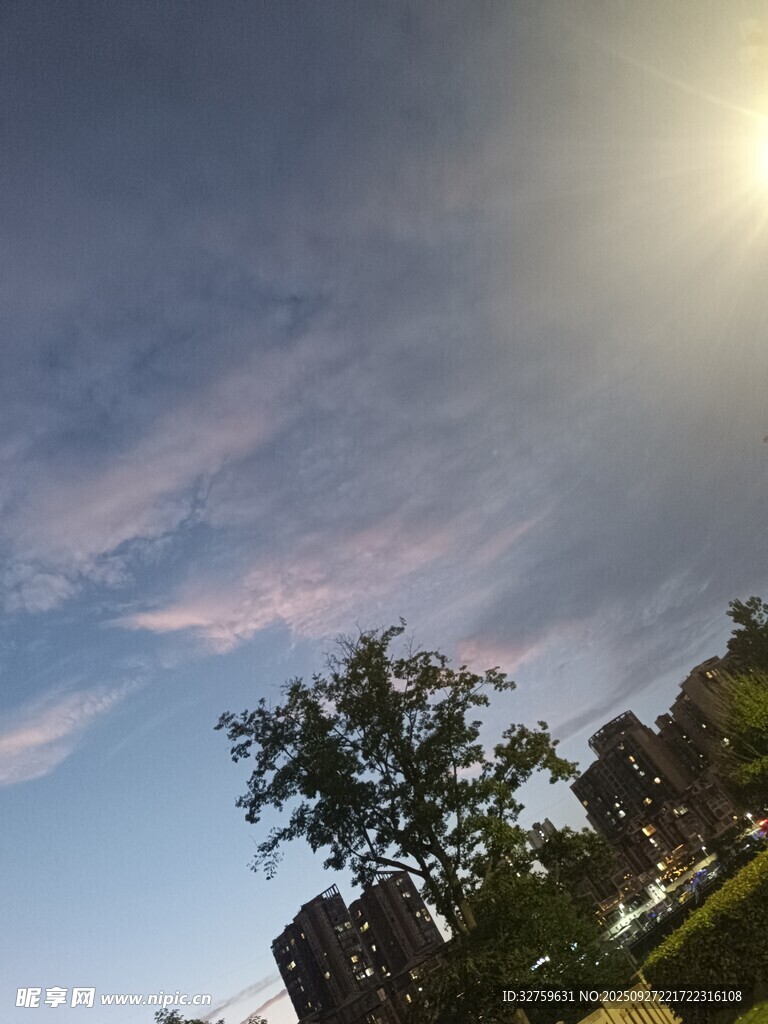 夕陽(yáng)下的樹(shù)木與絢麗天空