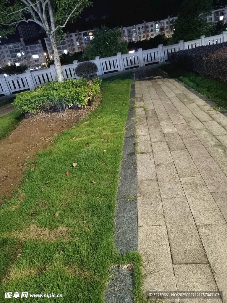 庭院磚石小徑與綠植景觀