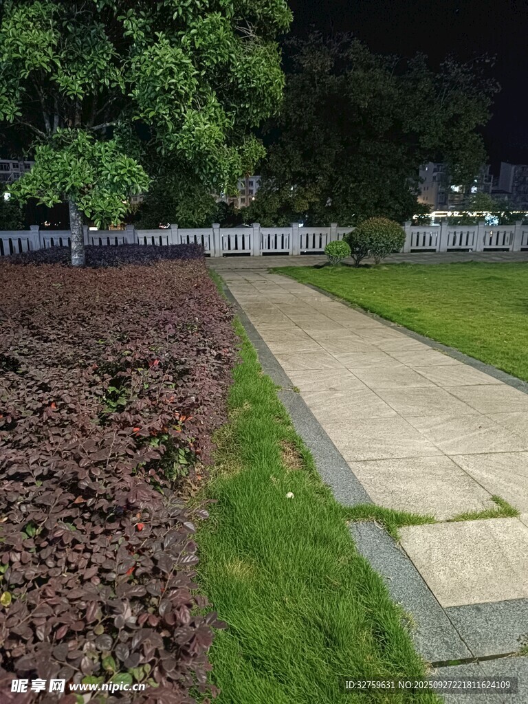 夜間靜謐的綠植步道