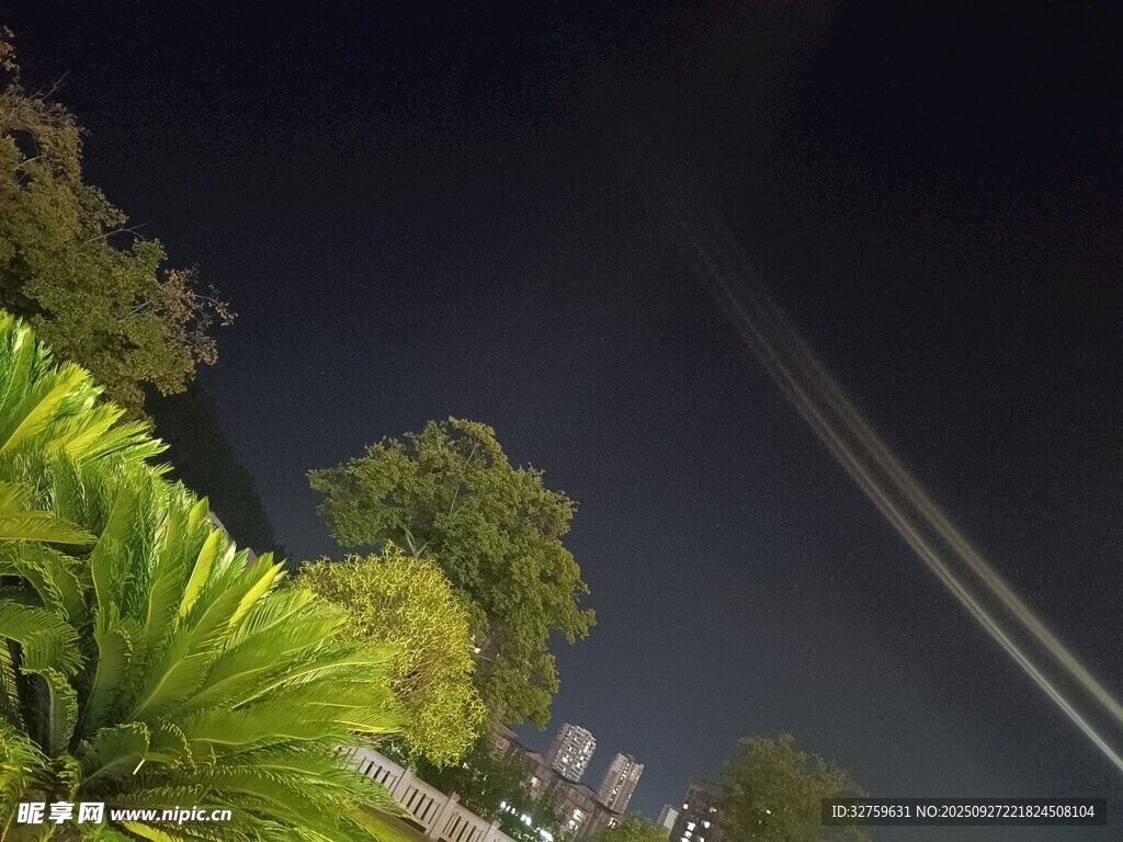 夜空下的樹木與光線軌跡