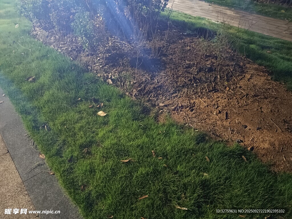 路邊草地旁的裸露泥土
