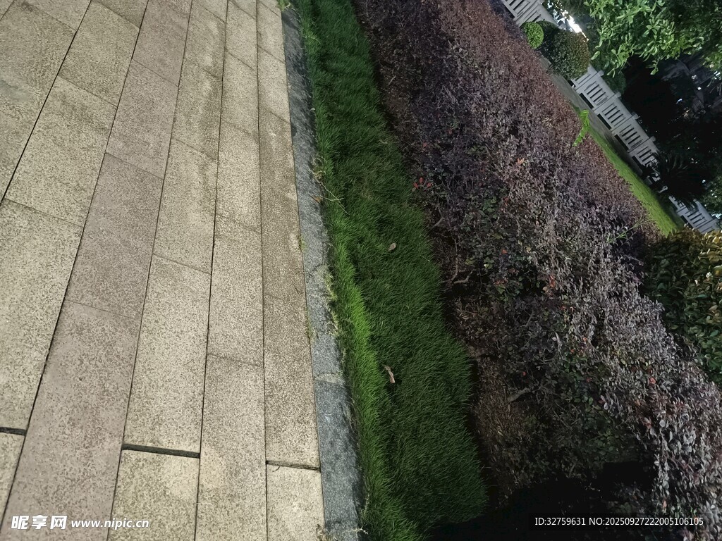 石板路旁綠植景觀