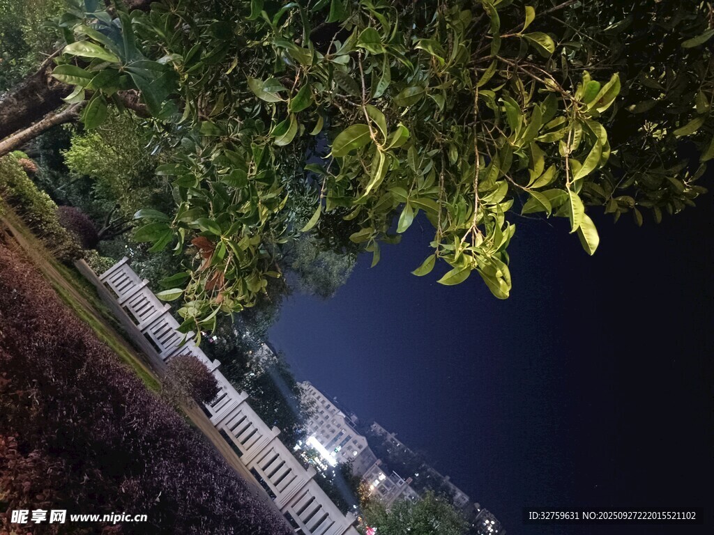 俯瞰河畔綠樹與建筑景觀