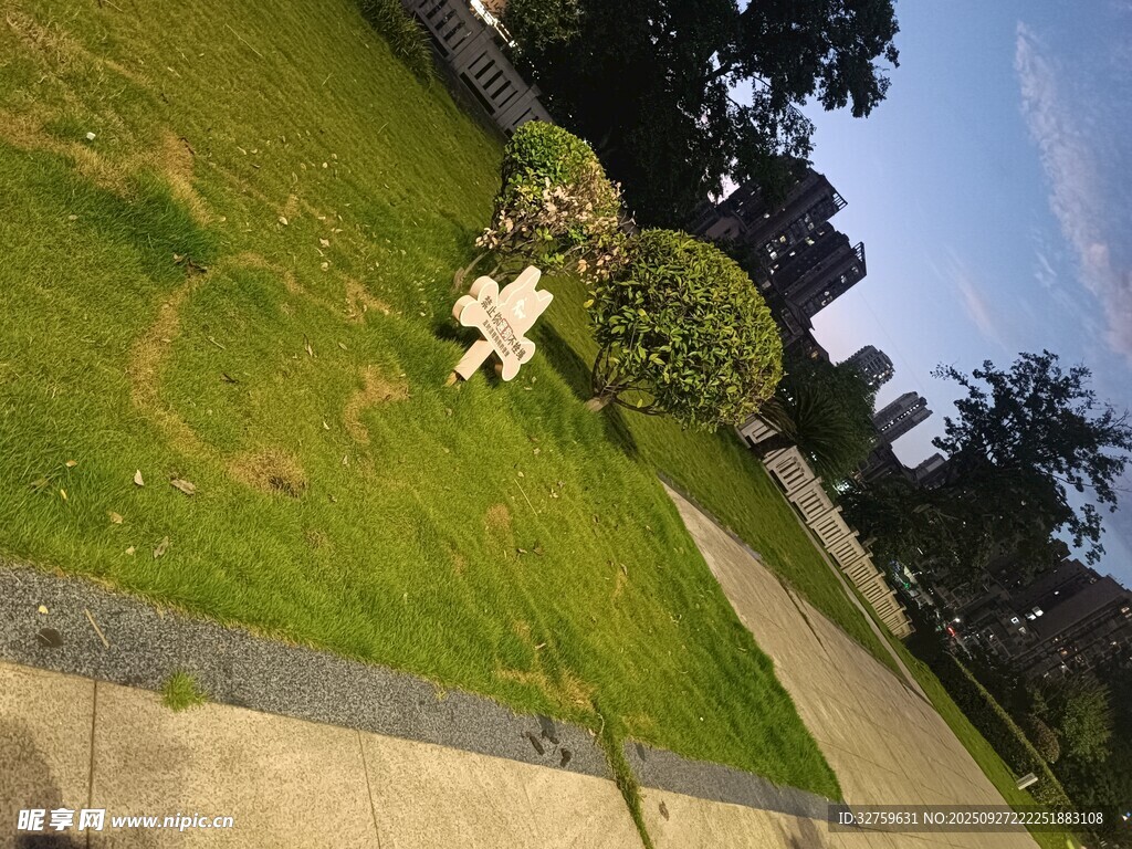 花園中的綠植與小徑