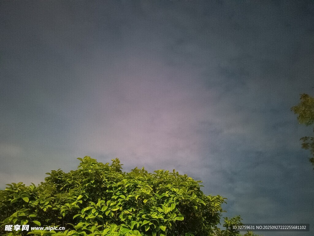 綠樹之上的天空光影