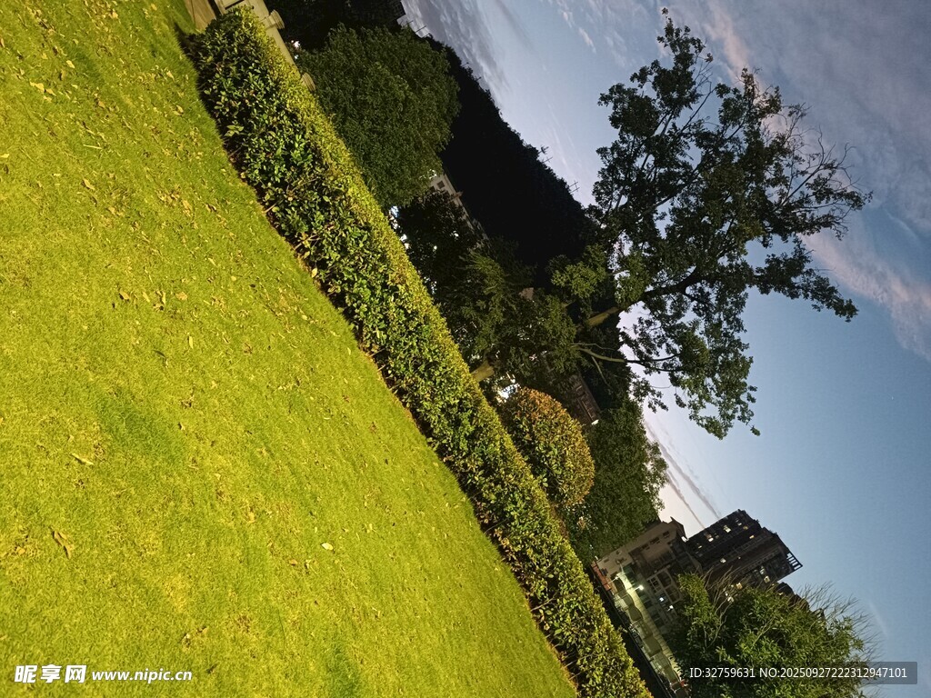 綠意盎然的戶外風景
