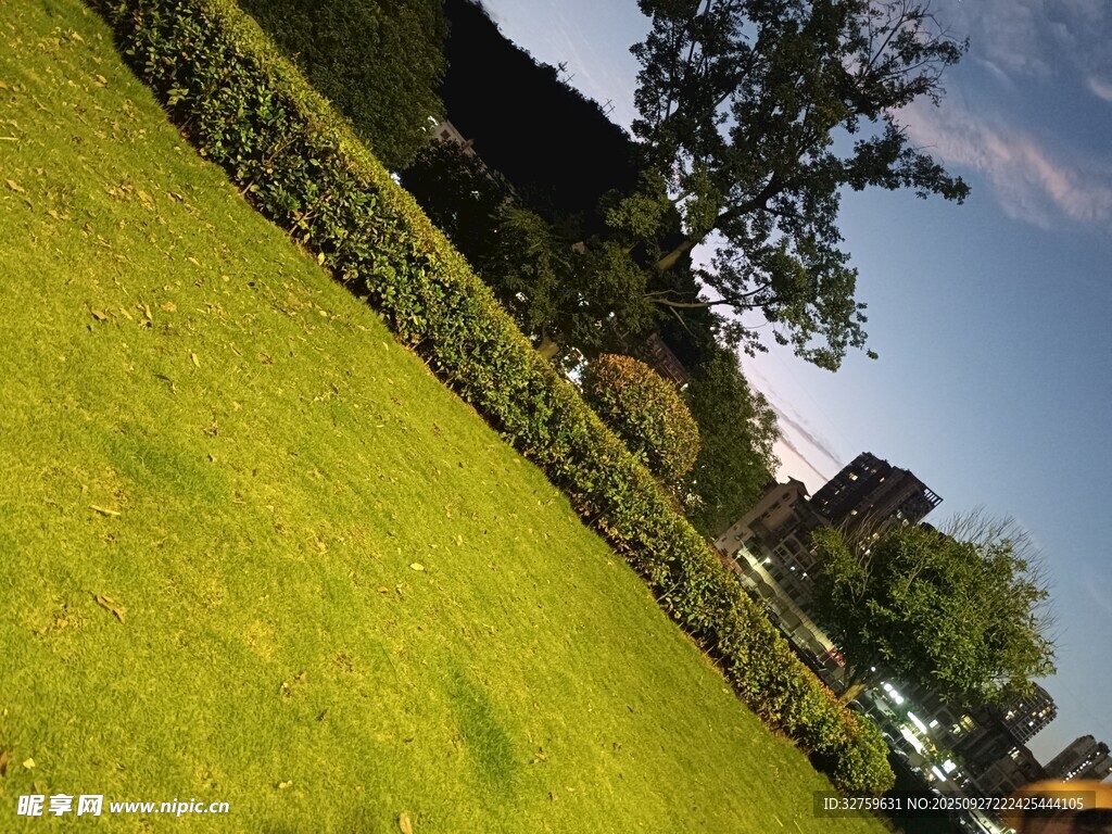 翠綠草坪與遠處景致
