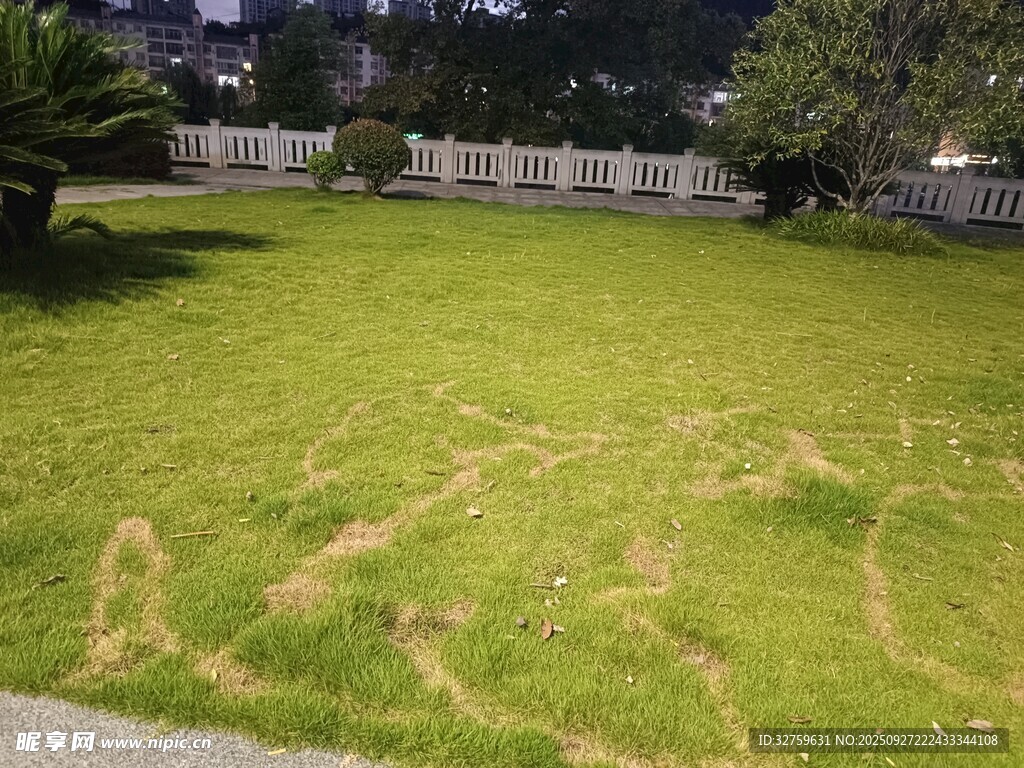 夜晚庭院中帶痕跡的草坪