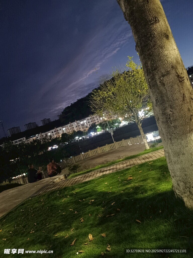 夜晚樹下的靜謐戶外景象