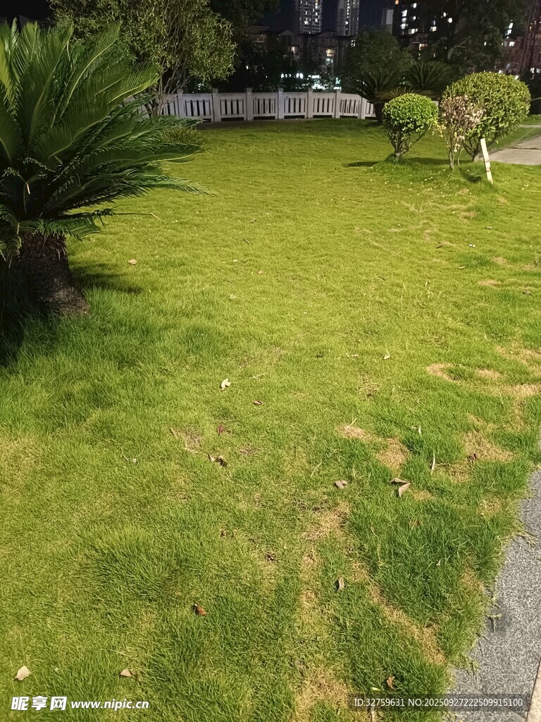 綠意盎然的戶外草坪景觀