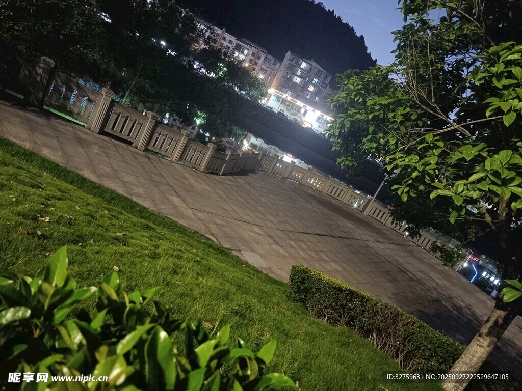 夜晚公園道路與綠植景觀