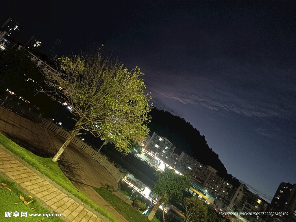 夜晚公園中的樹木與建筑