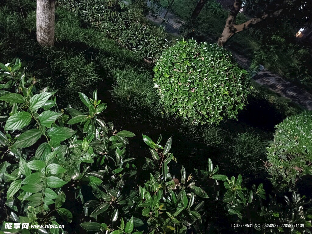 綠意盎然的球形綠植景觀