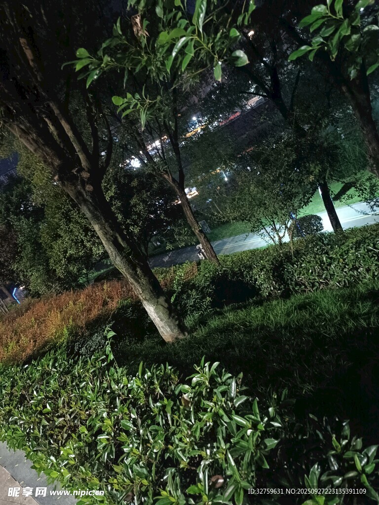 夜晚靜謐的綠植小徑
