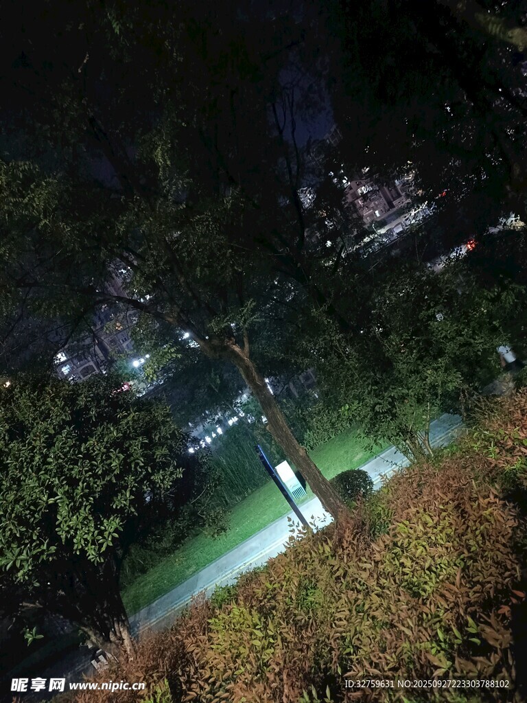 夜晚公園小徑的靜謐景象