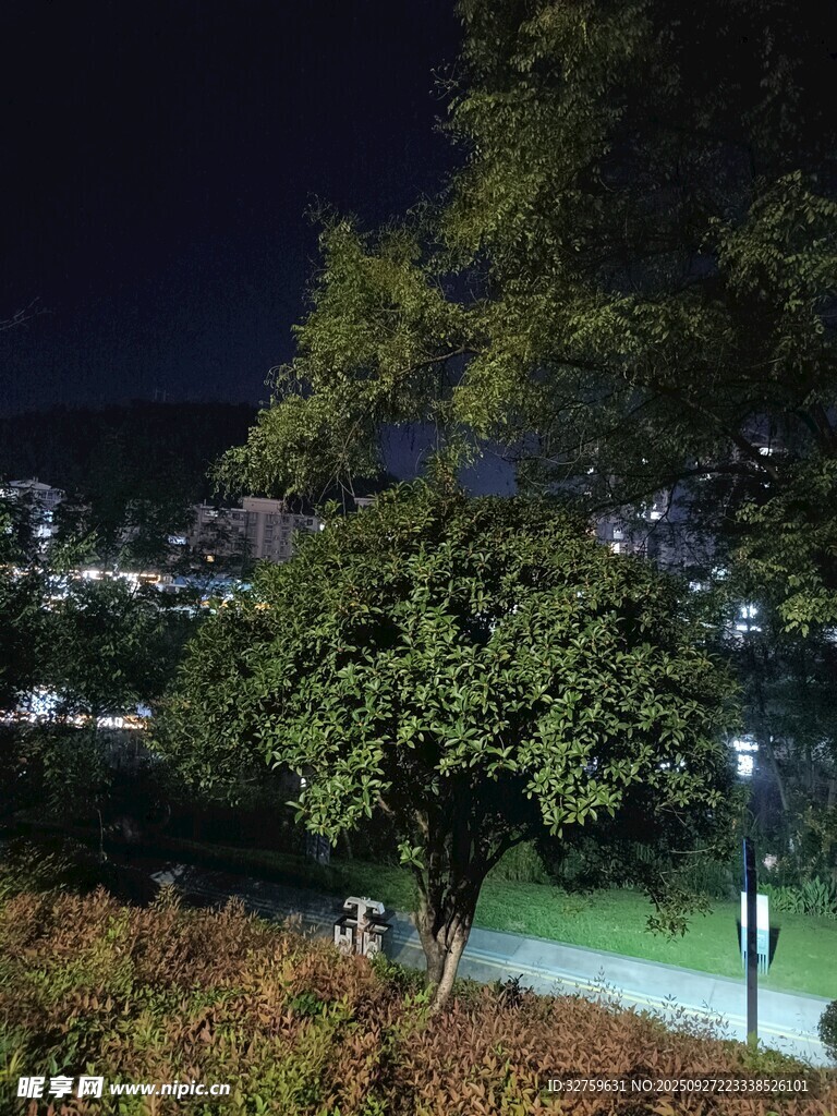 夜晚公園景色