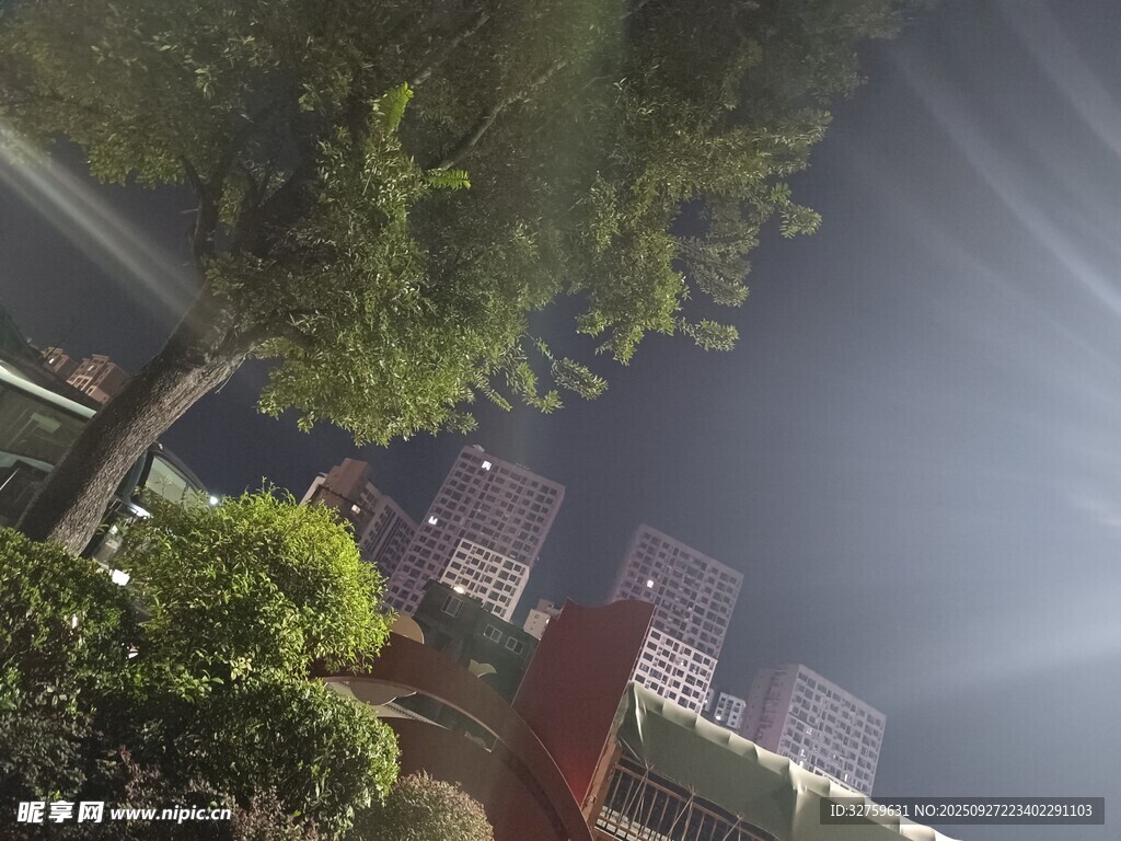 夜晚綠植旁的城市景象