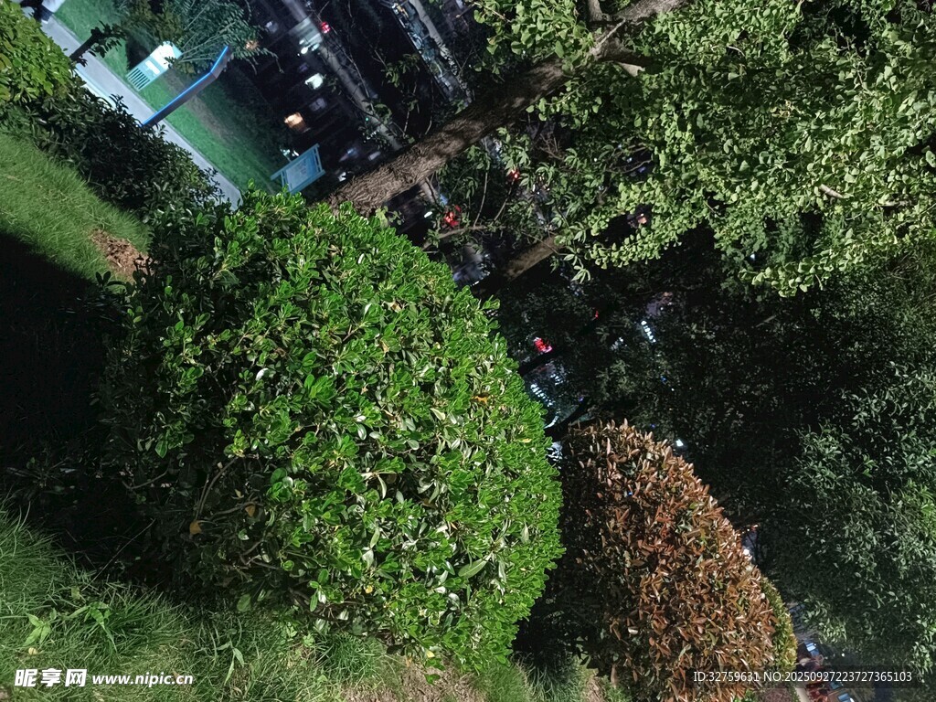 俯瞰綠意盎然的園林景觀