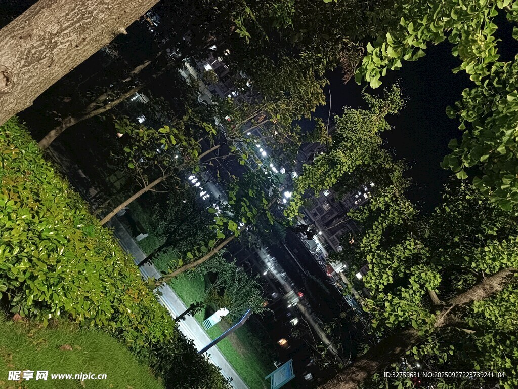 夜晚綠植環(huán)繞的夢(mèng)幻場(chǎng)景