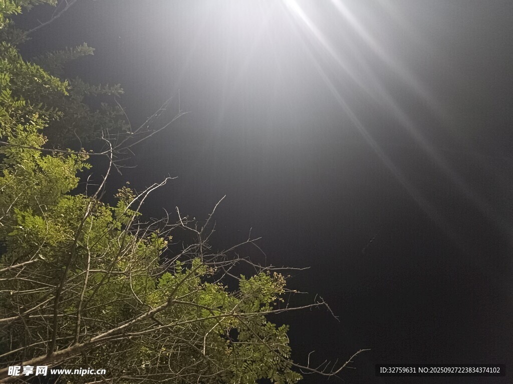 林間光束穿透夜色