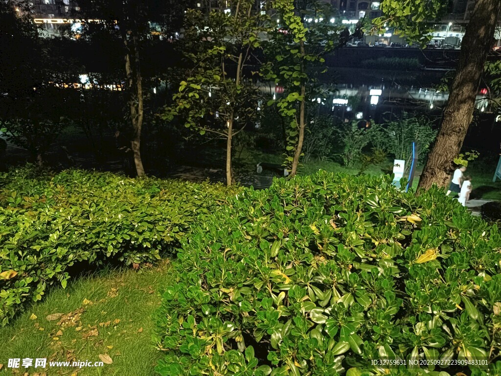 城市中的靜謐綠植景觀