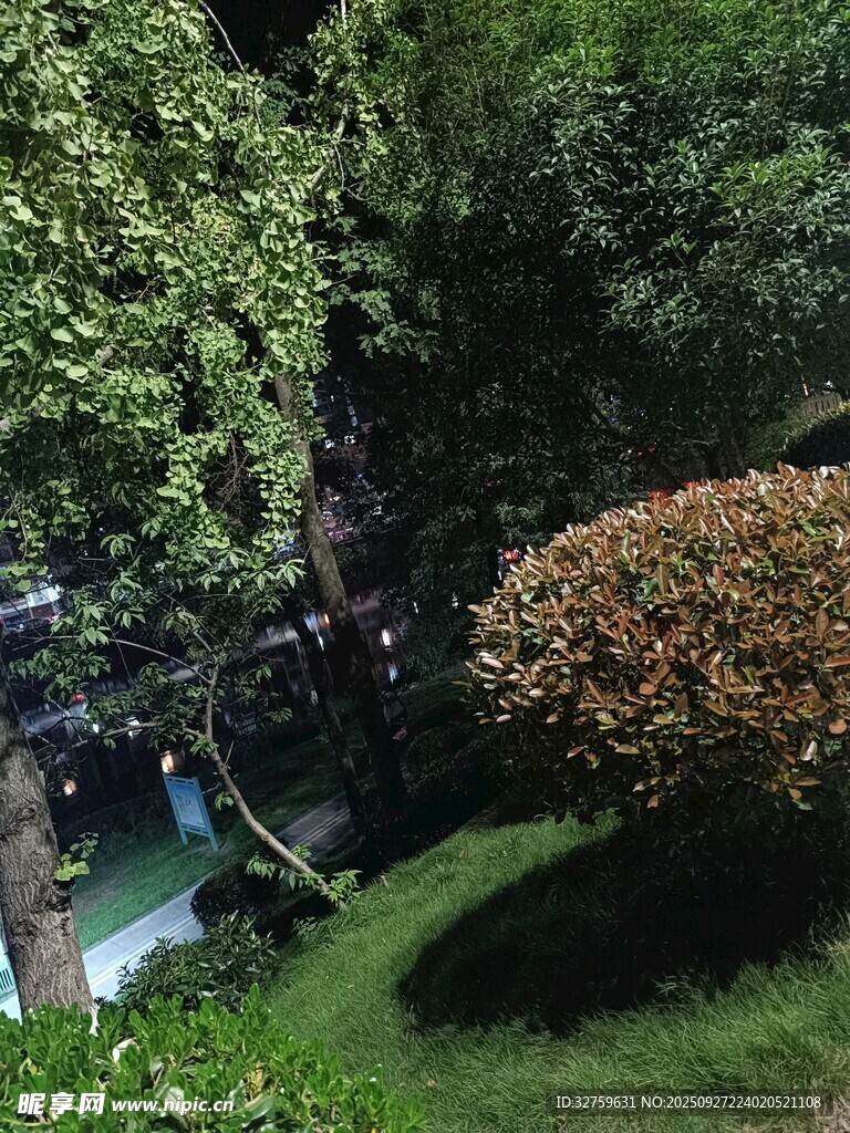 綠意盎然的庭院景觀