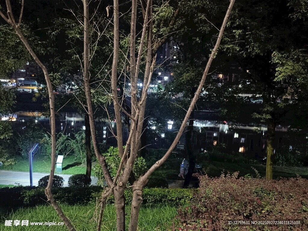 夜晚湖畔樹木間的城市燈火
