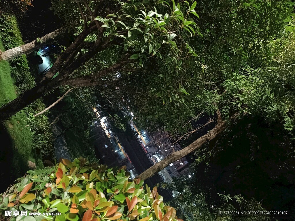 林間瀑布旁的繽紛花卉