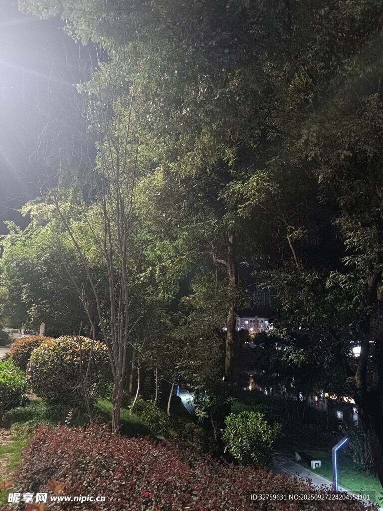 夜晚林間燈光點(diǎn)綴的景致