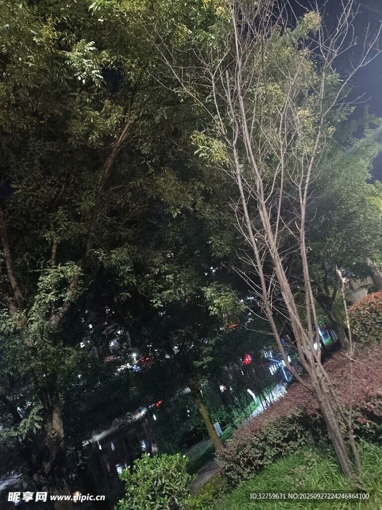 夜晚山林中的露營(yíng)場(chǎng)景