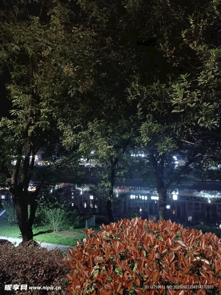 夜晚公園綠植景觀