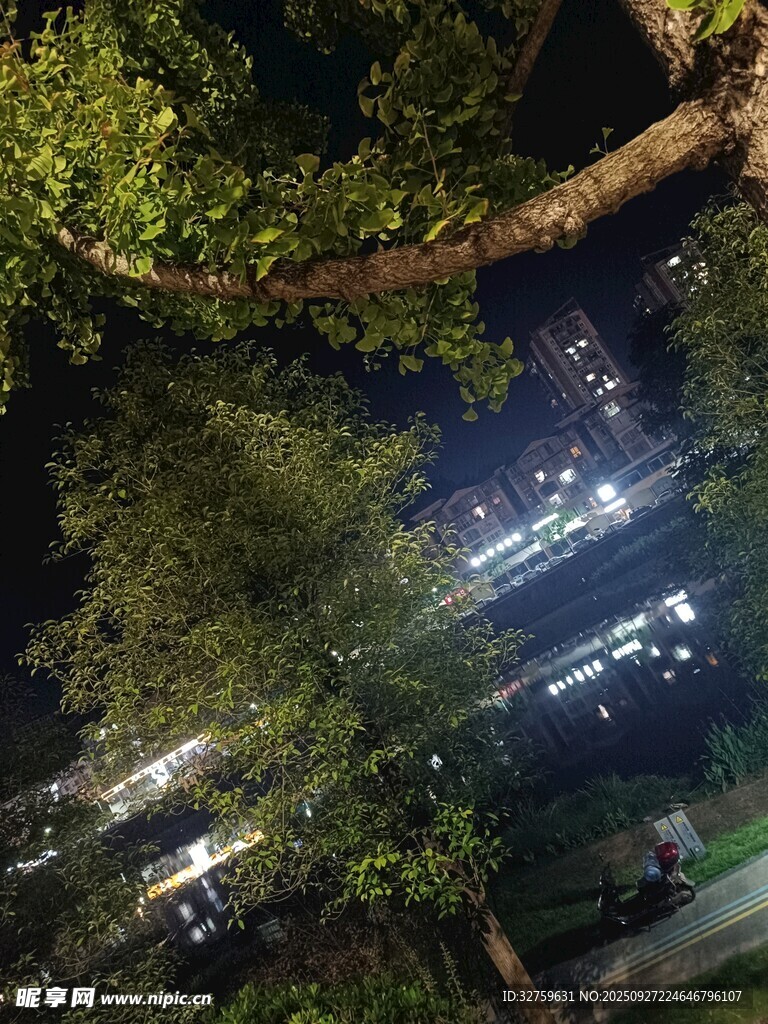 夜晚樹下望城市燈火