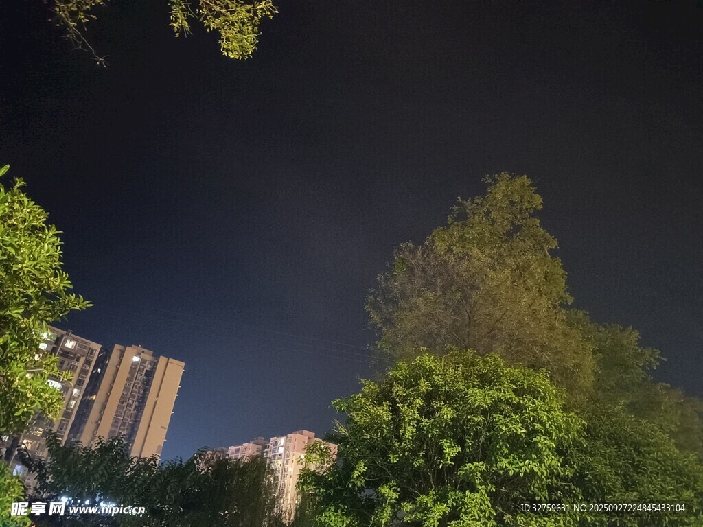 夜幕下的樹木與高樓