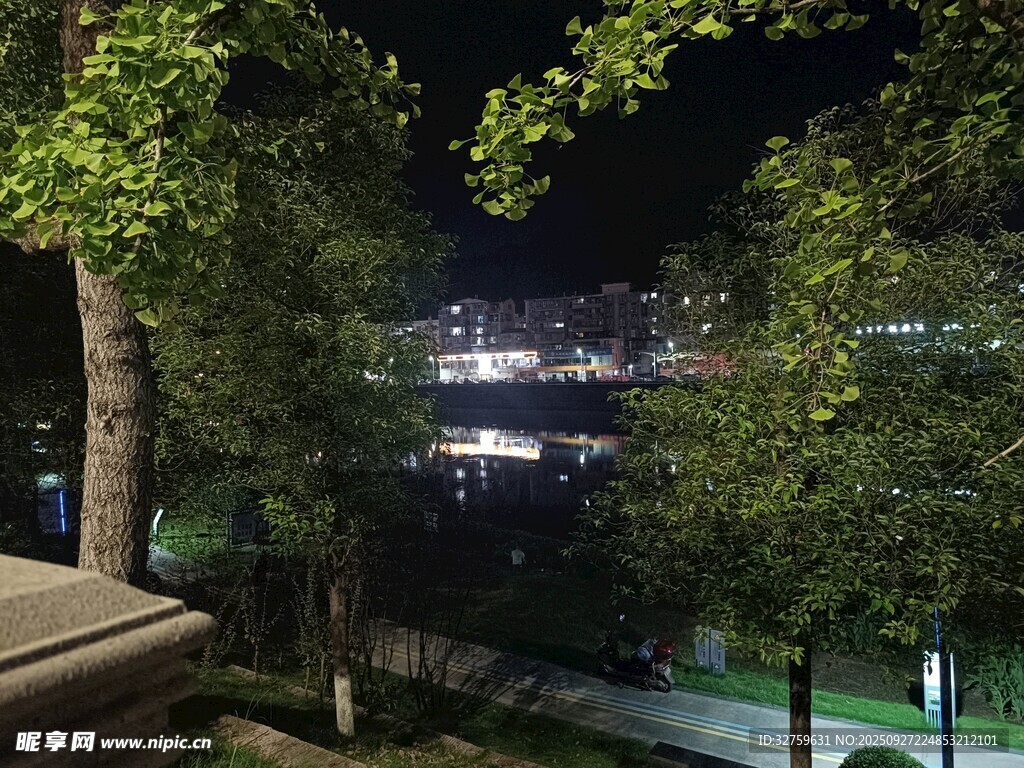 夜晚城市公園靜謐景致