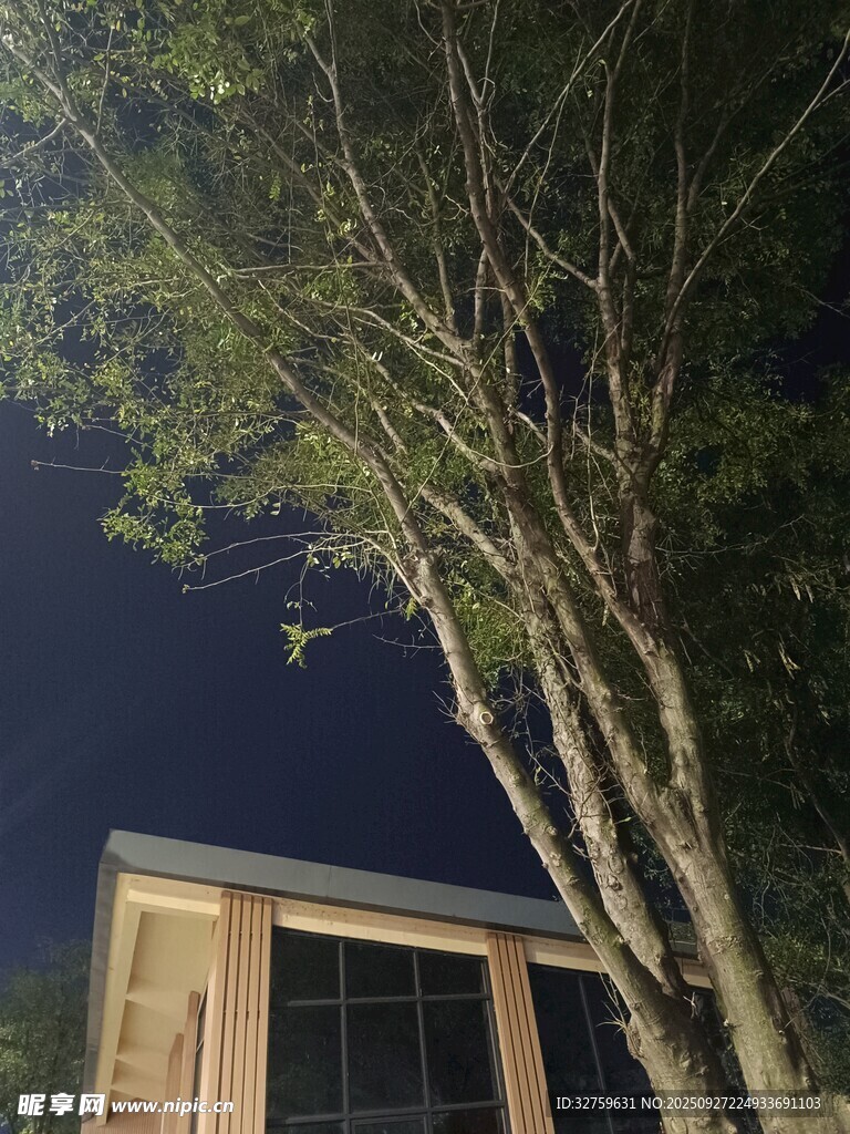 夜晚樹下的小屋