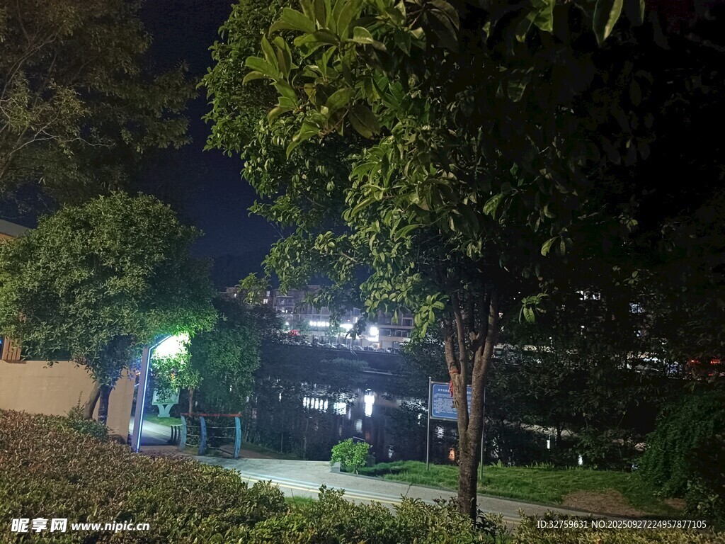 夜晚公園中的靜謐景象