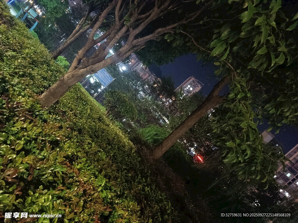 夜晚綠植環(huán)繞的城市景象