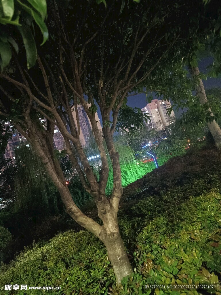 夜晚園林綠植景觀