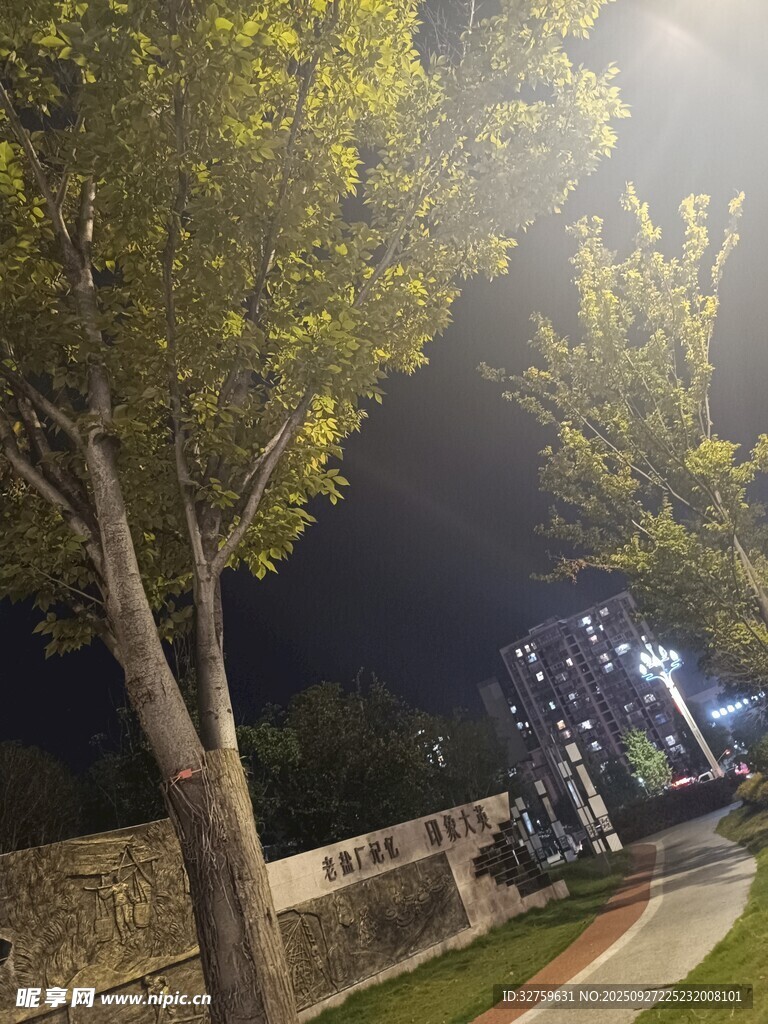 夜晚林蔭道的靜謐景致
