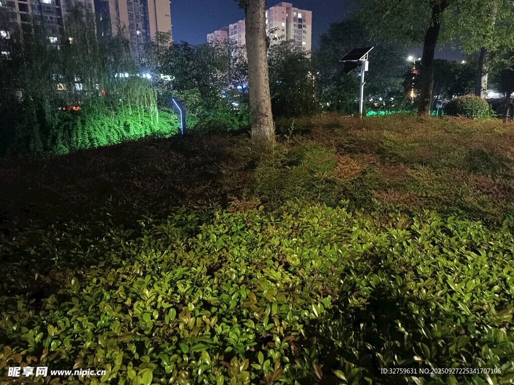 城市公園中的綠植景觀