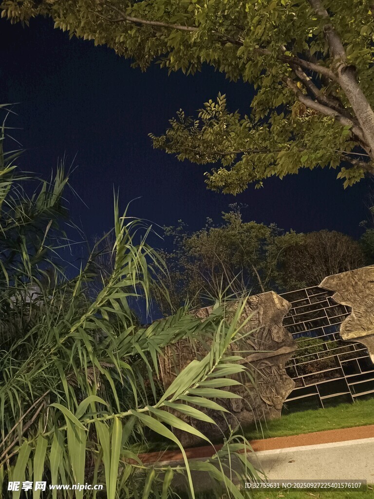 夜晚庭院綠植與建筑景致