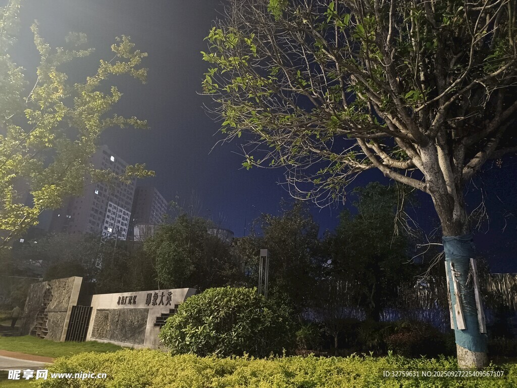 夜晚公園綠植樹木景致