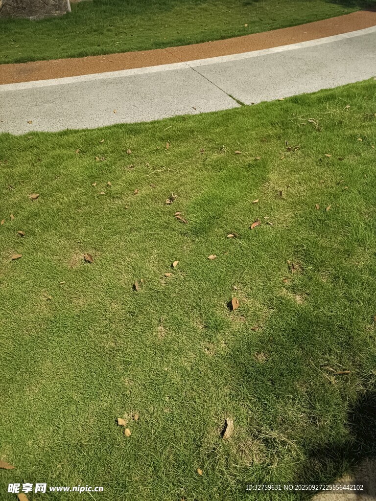 草坪上的破損痕跡