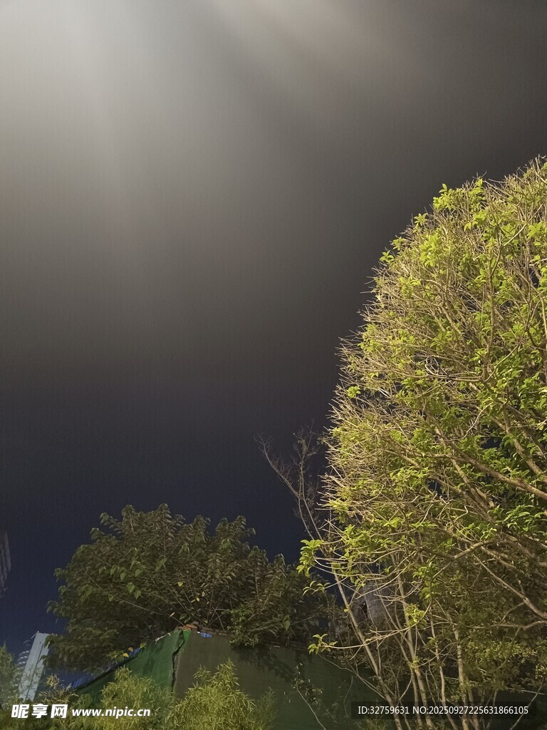 夜空中的樹與穿透光線