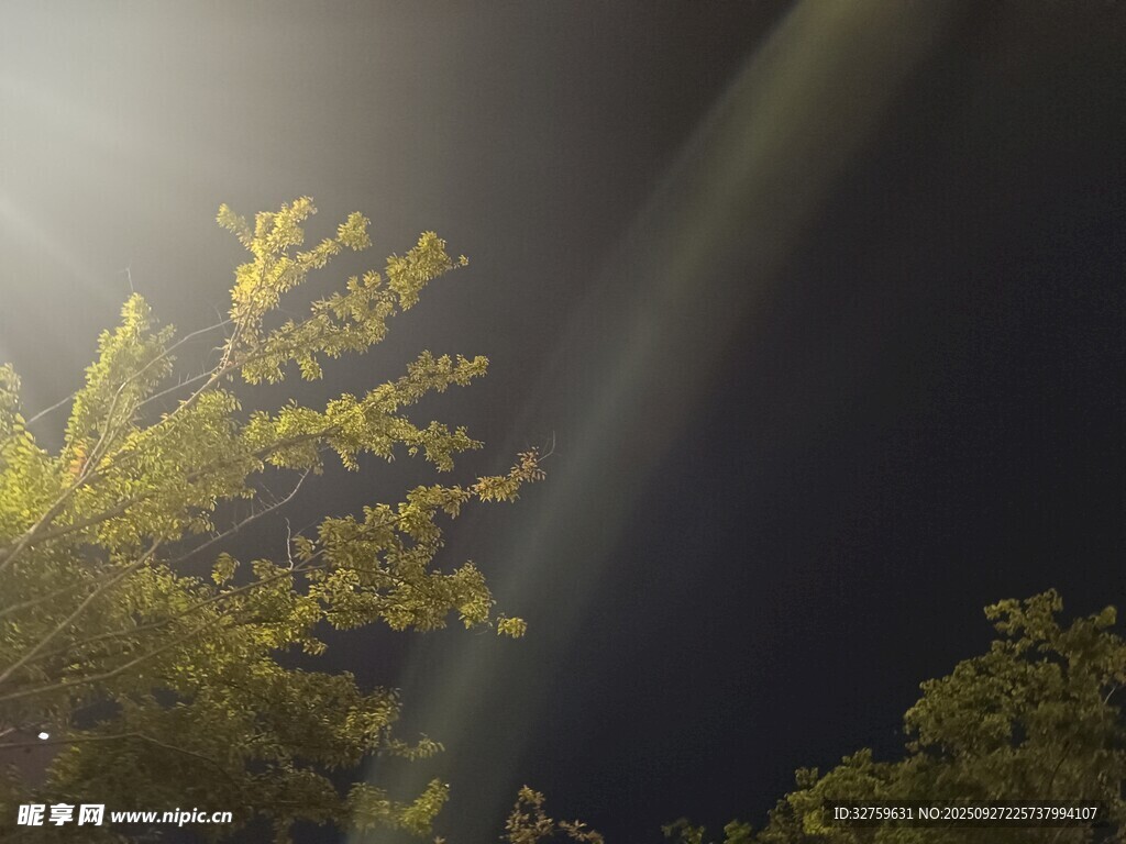 夜晚林間的光束美景