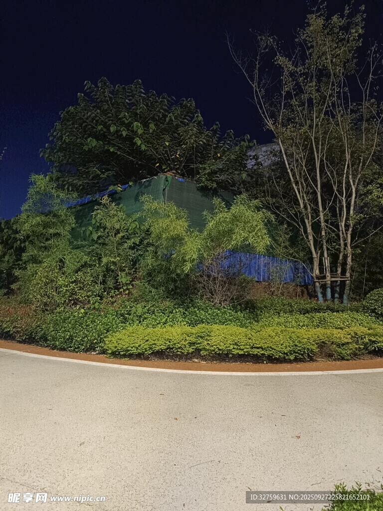 夜晚路邊的綠植景觀