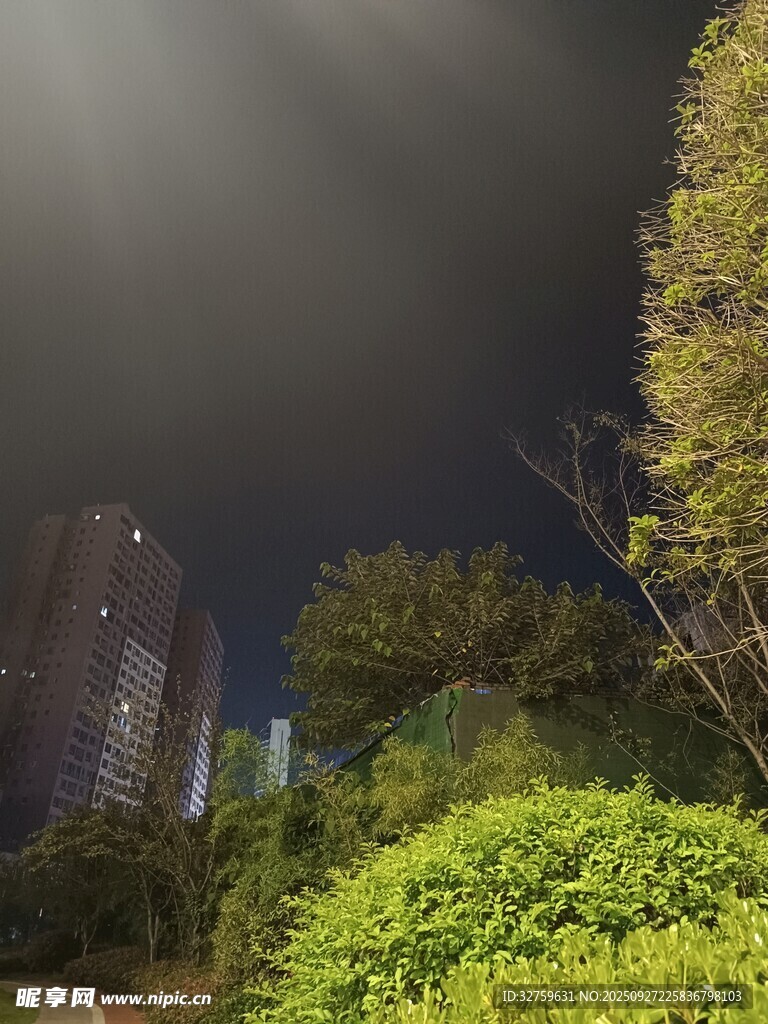 夜幕下的城市綠植景觀