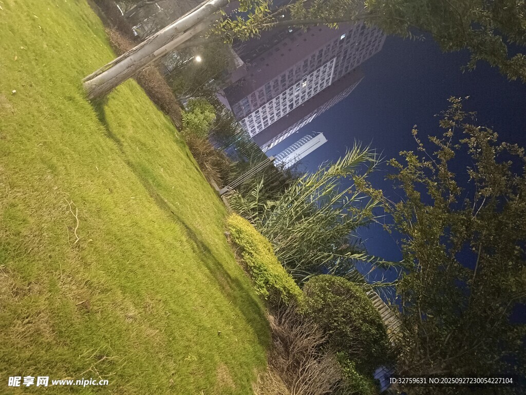 戶外草地旁的靜謐水景