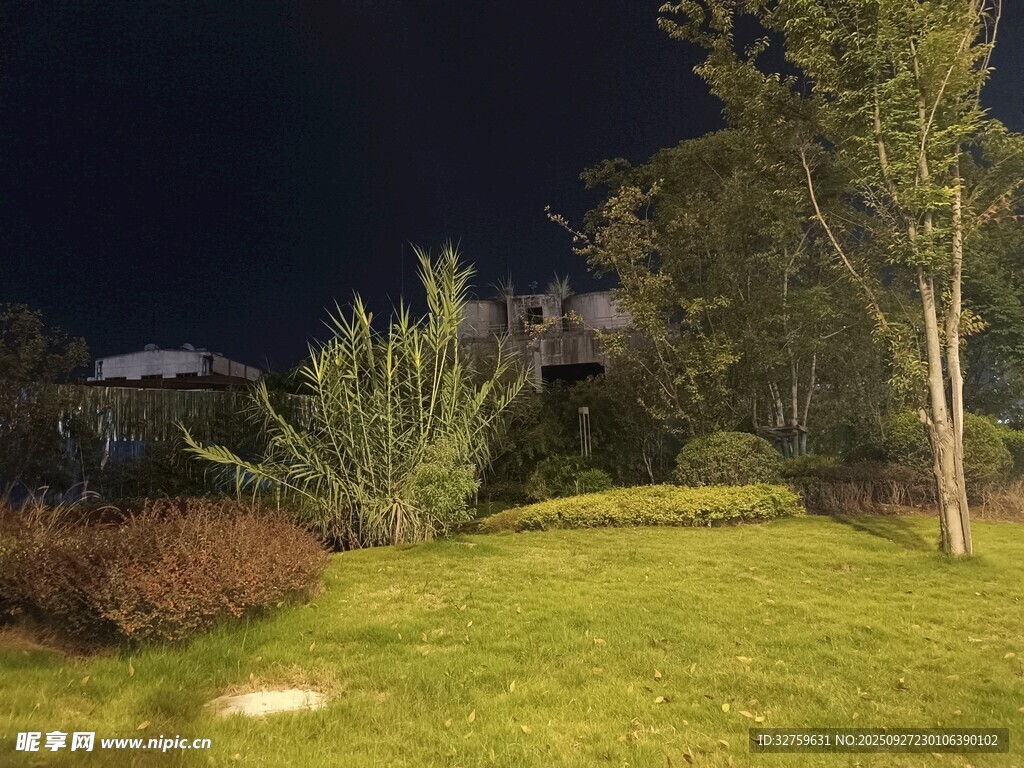 夜晚靜謐的綠植庭院景色