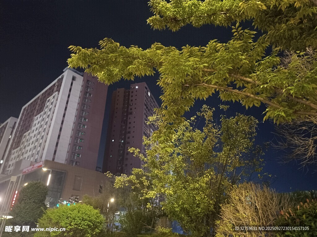 夜晚下的高樓與蔥郁樹木